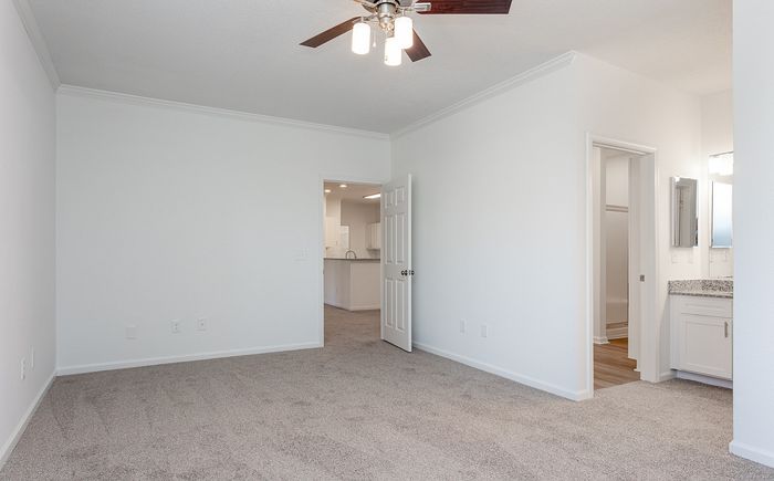 bedroom with carpet