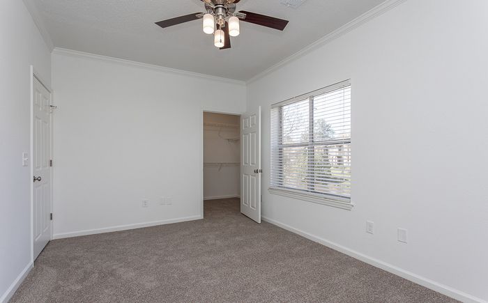 bedroom with carpet