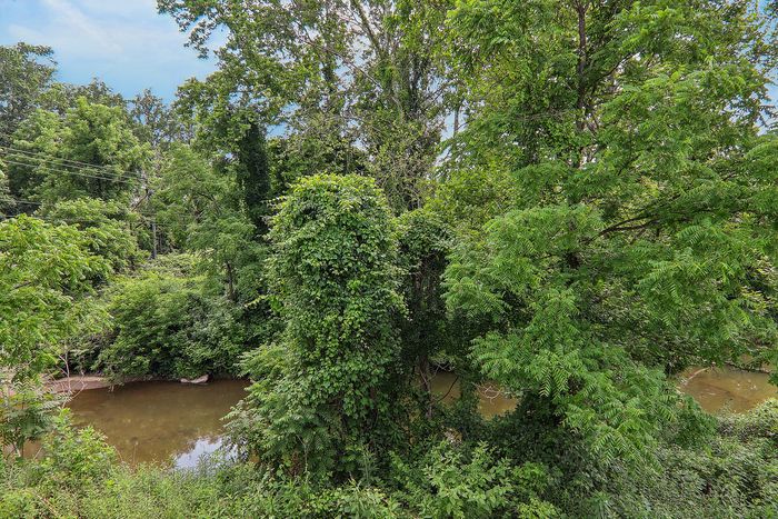 Serene view of lush green forest with a tranquil river, perfect for nature lovers seeking a peaceful escape.