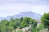 The View From Your Front Door