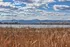 Tranquil lakeside view with golden reeds and majestic mountain backdrop under a vibrant sky.
