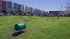 Dog Park