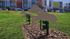 Dog Park
