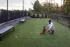 Man training a small brown dog in a fenced dog park with artificial grass, benches, and trees.