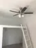 Inviting loft area featuring a sleek ceiling fan and ladder access, perfect for maximizing small spaces.
