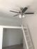 Charming loft-style room with a sleek ceiling fan and convenient ladder access to an elevated space, perfect for maximizing small spaces.