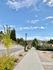 Charming suburban sidewalk lined with greenery under a bright, blue sky.