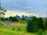 Green haven in the heart of Denver