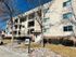 Charming apartment building with balconies and a landscaped front yard under a clear blue sky.