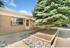 Charming single-story home with a brick exterior and front garden featuring a large, lush evergreen tree.