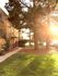 Charming apartment exterior with lush green lawn, mature trees, and warm sunlight enhancing a welcoming pathway.