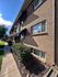 Charming brick apartment building with well-maintained landscaping and large windows, basking in beautiful sunlight.