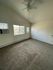 Bright and airy bedroom with plush carpeting, large windows, and ceiling fan.