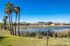 Serene lakeside view with lush green grass and towering palm trees, offering a tranquil suburban backdrop.