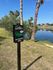 Scenic lakeside view with palm trees and a charming alligator crossing sign, perfect for nature enthusiasts.