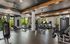 Modern apartment gym with state-of-the-art fitness equipment, including treadmills, weight machines, and a punching bag, set in a bright space with large windows overlooking lush greenery.
