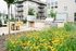 Charming outdoor living space with vibrant yellow flowers, modern grill area, and stylish seating, set against a backdrop of contemporary apartment buildings.