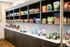 Modern snack bar with a variety of colorful packaged snacks and wicker baskets, offering a luxurious and convenient amenity.