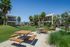 Modern apartment complex with lush green lawns, palm trees, and inviting picnic areas under a clear blue sky.
