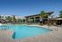 Inviting modern apartment complex with a luxurious swimming pool surrounded by palm trees and sun loungers, perfect for relaxation.