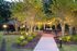 Charming outdoor seating area with string lights and lush greenery, perfect for gatherings or relaxation.