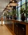 Elegant apartment lobby featuring modern mailboxes, stylish pendant lighting, and lush greenery with natural light streaming through tall windows.