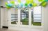 Charming indoor pet area with large windows, vibrant green turf, and colorful balloon decor, perfect for pet-friendly living.