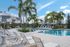 Luxurious outdoor pool area with palm trees, white lounge chairs, and umbrellas under a clear blue sky.