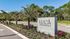 Inviting entrance to Luca Apartments surrounded by lush greenery and palm trees along a scenic roadway.