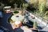 Charming outdoor patio featuring stylish seating areas, lush greenery, and a cozy fire pit for relaxed gatherings.