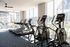 Bright and modern fitness center with state-of-the-art treadmills and ellipticals, surrounded by large windows offering an inspiring view.