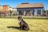 Charming residential complex with pet-friendly amenities, featuring a happy dog in a vibrant grassy area, perfect for outdoor relaxation and fun.