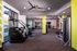 Modern, spacious apartment gym with state-of-the-art fitness equipment and large windows for natural light.