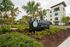 Modern Silversaw Wesley Chapel apartment complex surrounded by lush landscaping and palm trees, offering luxury living in a serene setting.