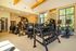 Bright and modern fitness center equipped with state-of-the-art cardio machines, weight racks, and strength training equipment, offering a refreshing workout space with scenic outdoor views.