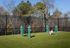 Sunny urban dog park featuring agility course, fenced for safety, with playful pet enjoying green space.