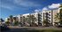 Elegant apartment complex 'The Cypress' with modern architecture, surrounded by lush palm trees and vibrant landscaping, under a clear blue sky.