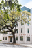 Beautiful apartment building with charming brick facade, framed by lush, mature trees.