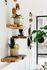 Chic apartment with elegant floating wooden shelves and lush green plants, creating a serene and stylish atmosphere.