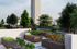 Elegant urban rooftop garden featuring lush trees, modern planters, and vibrant greenery, offering a serene city oasis.
