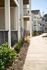 Charming modern apartments with elegant balconies and lush landscaping along a sunlit walkway.