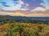 Ellison at The Preserve - Scenic Landscape