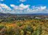 Ellison at The Preserve - Scenic Landscape