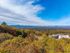 Ellison at The Preserve - Scenic View