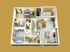 the weatherly layout