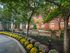 Shaded Courtyard