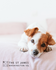 Adorable dog lounging comfortably on a plush bed in The St James, Washington Sq. Inviting and cozy living environment.