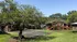 Charming apartment complex with lush greenery and a private basketball court, perfect for active living.
