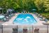 Inviting outdoor pool area surrounded by lush greenery, featuring comfortable loungers and chic umbrellas for ultimate relaxation.