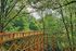 Breathtaking elevated wooden walkway surrounded by lush green forest, perfect for leisurely strolls and nature appreciation.